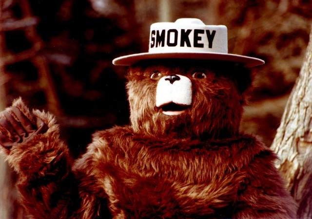 Smokey the bear